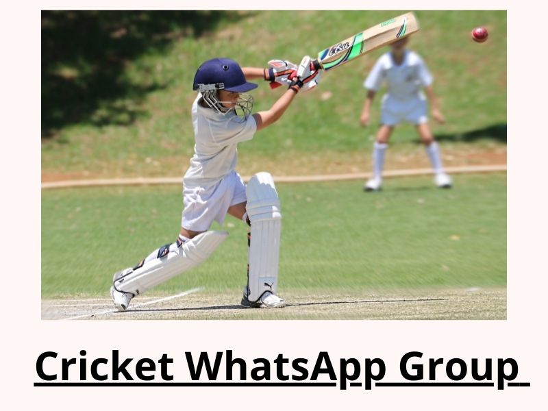 Cricket WhatsApp Group
